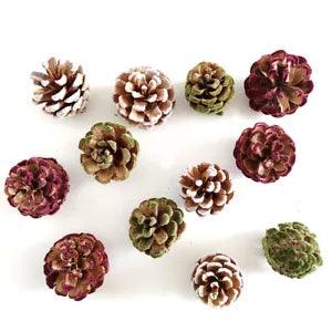 5PCS Natural Pinecone Hairy Pine Cone Dried Flowers DIY Xmas Home Decor Ornament