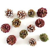 5PCS Natural Pinecone Hairy Pine Cone Dried Flowers DIY Xmas Home Decor Ornament