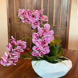 Orchid-Cream Floral Arrangement, Orchid-Cream Phalaenopsis Design, Orchid-Cream Silk Orchid, Orchid-Cream Contemporary Design