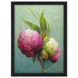 Modern Pink And White Peony Flowers In Teal Framed Wall Art Picture Print A3