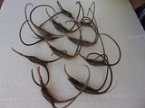 10 NATURAL 9"-13" medium DEVIL'S CLAW PODS FOR CRAFTS,  DRIED FLORAL PROJECTS
