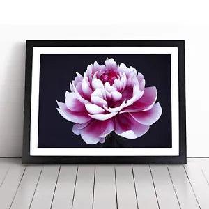 Delightful Peony Flower Framed Wall Art Poster Print Home Decor Picture Large