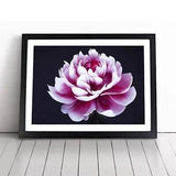 Delightful Peony Flower Framed Wall Art Poster Print Home Decor Picture Large