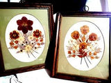2 Wood Framed VTG Oval Matted Pressed Dried Flowers Autumn Colors MCM