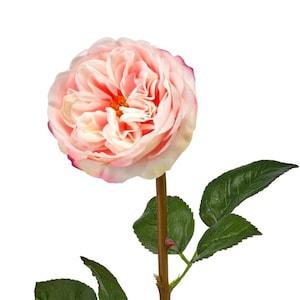 Real Touch Artificial Flowers Roses Floral Craft Supplies For Bouquet Wedding Decor Home Supplies for Crafters Silk Flowers