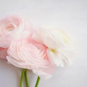 Ranunculus Still Life Photography Botanical Print Ranunculus Bouquet Textured Art Print