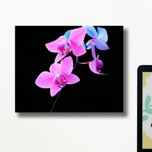 Pink Orchid Canvas Wall Art Orchid Wall Art Flower Wall Art Floral Wall Art Orchid Wall Decor Orchid Art Print Painting Black