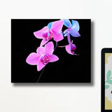 Pink Orchid Canvas Wall Art Orchid Wall Art Flower Wall Art Floral Wall Art Orchid Wall Decor Orchid Art Print Painting Black