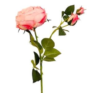 Cabbage Rose Blush Pink Artificial Rose Silk Flowers Real Touch Floral Supplies Artificial Flower Supplier