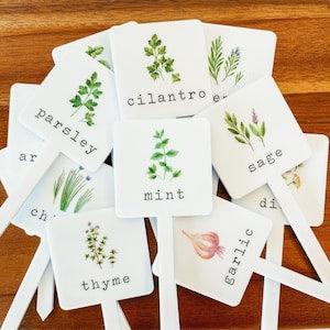 Herb Garden Stakes, Herb Plant Markers, Herb Garden Labels, Herb Garden Markers, Garden Labels, Acrylic Garden Stakes, Gift For Gardeners