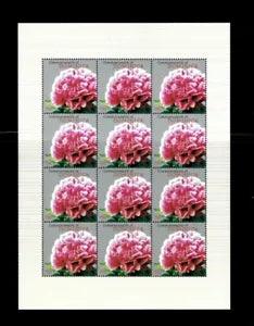 Dominica 2009 - Peony Flower - Luoyang - Sheet of 12 stamp - Scott #2681 - MNH