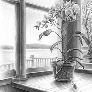 Orchid in a Window #3