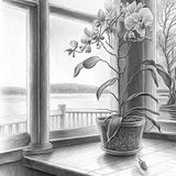 Orchid in a Window #3