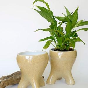 Set of 2 Ceramic Planters / Unique Orchid Pot / Wabi Sabi Plant Pots / Handmade Planters