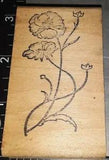 Poppies, carnations, flowers,unknown maker,B15,rubber,stamp
