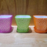 Small Flower Pot for Orchid, Herbs, Succulent