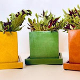 Colored concrete cube planter with draining saucer / cement orchid pot /succulent plant pot/cactus planter/ herb and small vegetable planter