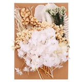 Natural Dried Flowers Multiple Real Dried Pressed Flowers Plant Light Color