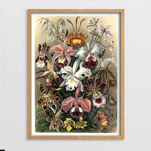 Orchid Print,  Flower Poster Botanical Art, Flowers Wall Decor, Flower Wall Art
