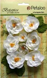 Ranunculus WHITE - 8 Fabric Flowers + 6 Leaves 33-48mmAcross Botanica Pet L2b
