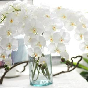 Real Touch Orchid Stem, Artificial Silk Orchid Plant, Faux Butterfly, Home Decor, Housewarming Gift, Table Centerpieces, Countertop Decor