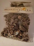 Mini Dried Exotic Elegance pinecones 2 Packages