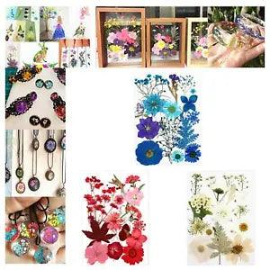 1 Pack Dried Pressed Flowers Real Petal Bulk Kit Assorted for Soap Making