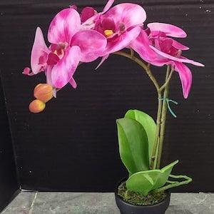 ARTIFICIAL Phalaenopsis orchid plant, tropical flowers RASPBERRY SWIRL