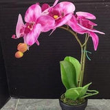 ARTIFICIAL Phalaenopsis orchid plant, tropical flowers RASPBERRY SWIRL