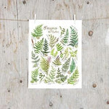 Print Ferns of Quebec | Poster botanical paintings, Poster fern l Watercolor plants Illustration |
