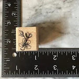 Rubber Stamp Lilies Clematis Flowers by STAMPIN UP Small Accent