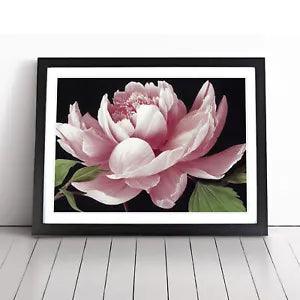 Delicious Peony Flower Framed Wall Art Poster Print Home Decor Picture Large