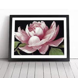 Delicious Peony Flower Framed Wall Art Poster Print Home Decor Picture Large