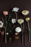 Floral Tutorial :: Ushering in Spring with a Romantic Floral Arrangement (coco kelley) Flower Delivery