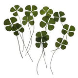 12x  Dried Flowers Leaves  Embellishments Crafts Card Making