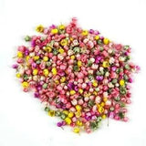 140pcs Real Dried Flowers For Art Craft Epoxy Resin Making Jewellery Candle hot???