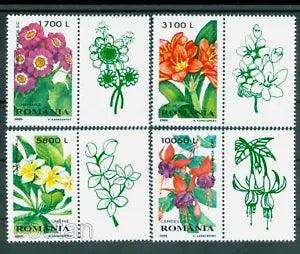 2000 Bush lily,Plumeria,Fuchsia,Senecio,Flowers,plants,Romania,Mi.5478,TAB/R,MNH