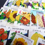 Original EMPTY! All Flowers lot 40 different vintage lithographed seed packets 1930-1970 General Store Garden San Antonio Texas Lone Star #2