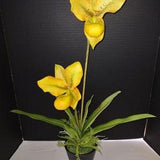 Artificial Paphiopedilum Lady slipper orchid  LEMON YELLOW