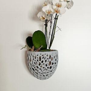 Orchid Wall Planter, Hanging Orchid Pot Fence Planter, Made for Moss, Diy Kokedama, and moss ball, indoor planter.