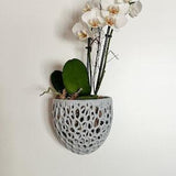 Orchid Wall Planter, Hanging Orchid Pot Fence Planter, Made for Moss, Diy Kokedama, and moss ball, indoor planter.