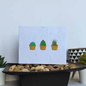 Succulents Seed Card