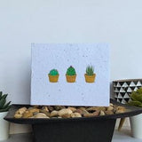 Succulents Seed Card