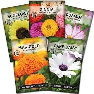 Flower Seed Garden Collection for Planting:Marigold, Zinnia,Sunflower Cape Daisy