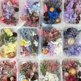 1 Box Dried Flower DIY Accessories Dry Candle Pendant Home Wedding Flo-ca