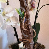 Orchids & plants decoration/skewer worm house