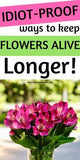 How to keep fresh flowers alive longer Flower Delivery