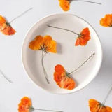 Natural Dried Chrysanthemum Flower Preserved Craft Decorative Accessories 24Pcs