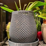 Flowerpot for orchid