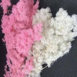 Preserved Flowers Penglai Pines - Eternelle Plant Asparagus Myriocladus Bouquet